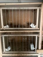 Kweekbakken voor duiven, Dieren en Toebehoren, Vogels | Duiven, Postduif