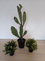 Kunstplanten Ikea Fejka, Ophalen