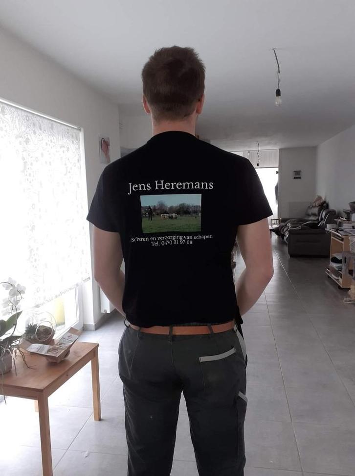 Scheren van schapen door HEEL België, Dieren en Toebehoren, Schapen, Geiten en Varkens, Schaap, Meerdere dieren