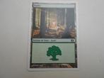 magic card The gathering  Terrain de base foret, Enlèvement ou Envoi, Neuf