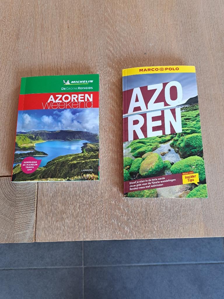 reisboek, Boeken, Reisgidsen, Ophalen, Michelin Editions, Europa, Zo goed als nieuw