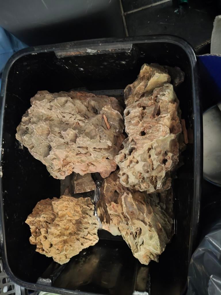 Dragon stone lot, Ophalen