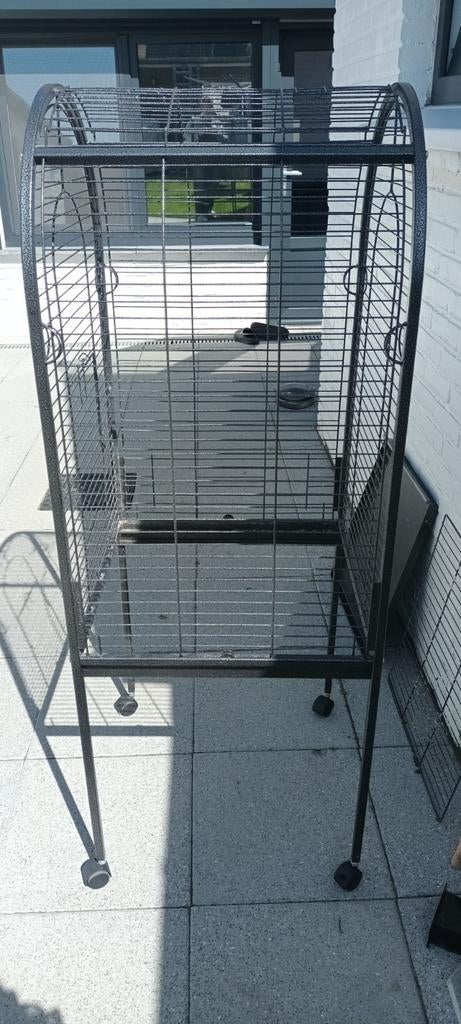 Papegaaikooi junior, Animaux & Accessoires, Oiseaux | Cages & Volières, Enlèvement, Utilisé, Métal, Cage à oiseaux