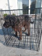 Grote bench voor hond, Ophalen, Gebruikt