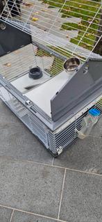 Konijnenren, Ophalen