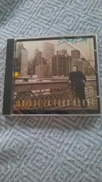 BLUE BLOT Bridge to your heart (cd), Enlèvement ou Envoi, 1980 à nos jours, Comme neuf, Blues