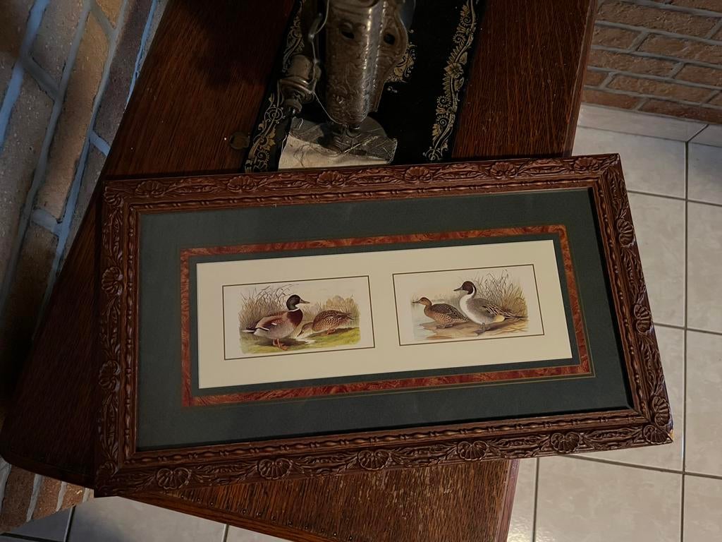 Cadre magnifique avec 2 couples de canards, Enlèvement