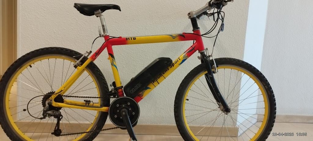 Elektrische Mountainbike, Ophalen, Gebruikt, Staal, Heren