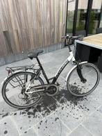 Thompson Damesfiets, Enlèvement, Utilisé