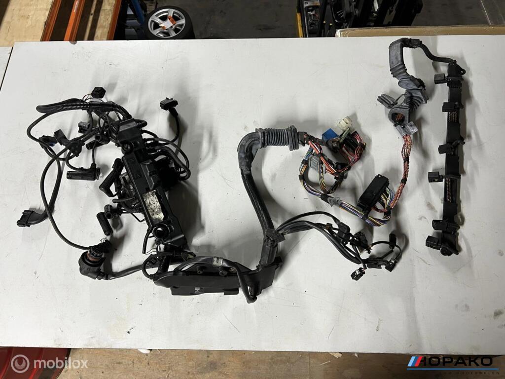 Kabelboom motor BMW E6x 535D M57D5, Autos : Pièces & Accessoires, Enlèvement ou Envoi, Einsteinlaan 5 rijswijk, Bmw, Utilisé