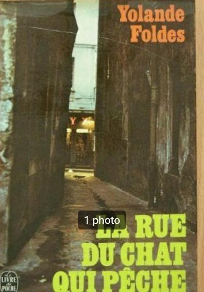 „De straat van de vissende kat” Yolande Foldes (1937), Boeken, Literatuur, Gelezen, Europa overig, Ophalen of Verzenden