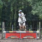 21jarige ruiter zoekt halve stal, Dieren en Toebehoren, Niet van toepassing