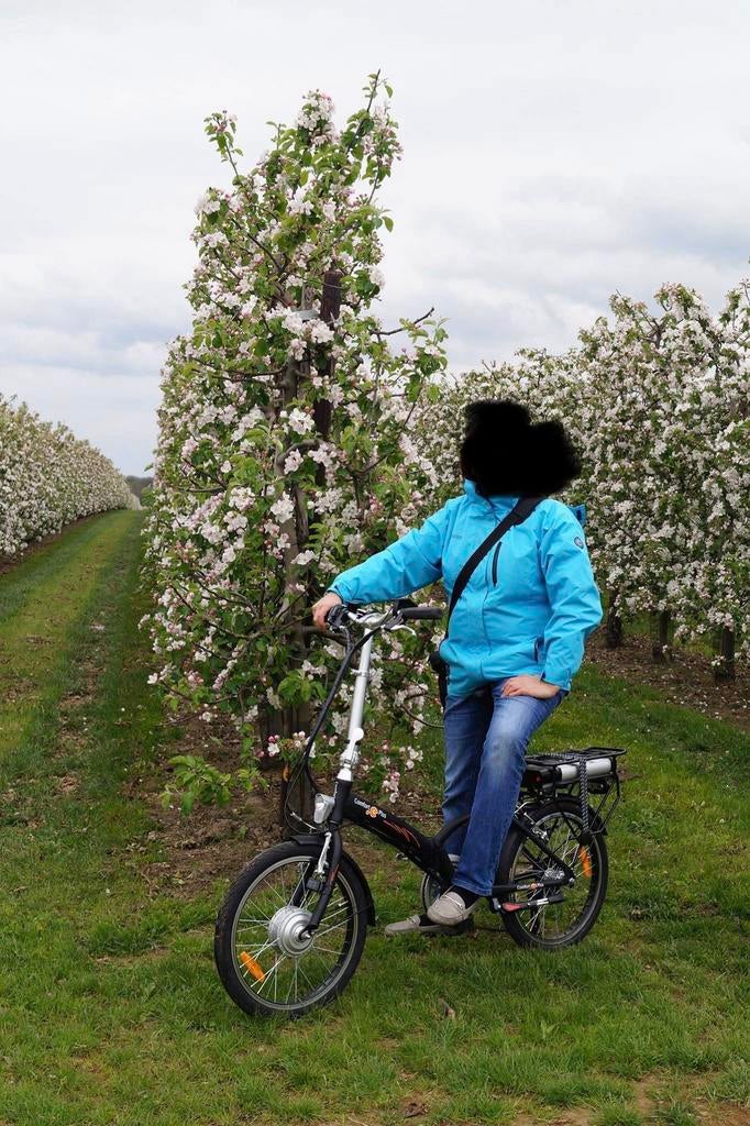 Elektrische plooifiets. Perfect werkende staat, Vélos & Vélomoteurs, Vélos électriques, Comme neuf, Enlèvement