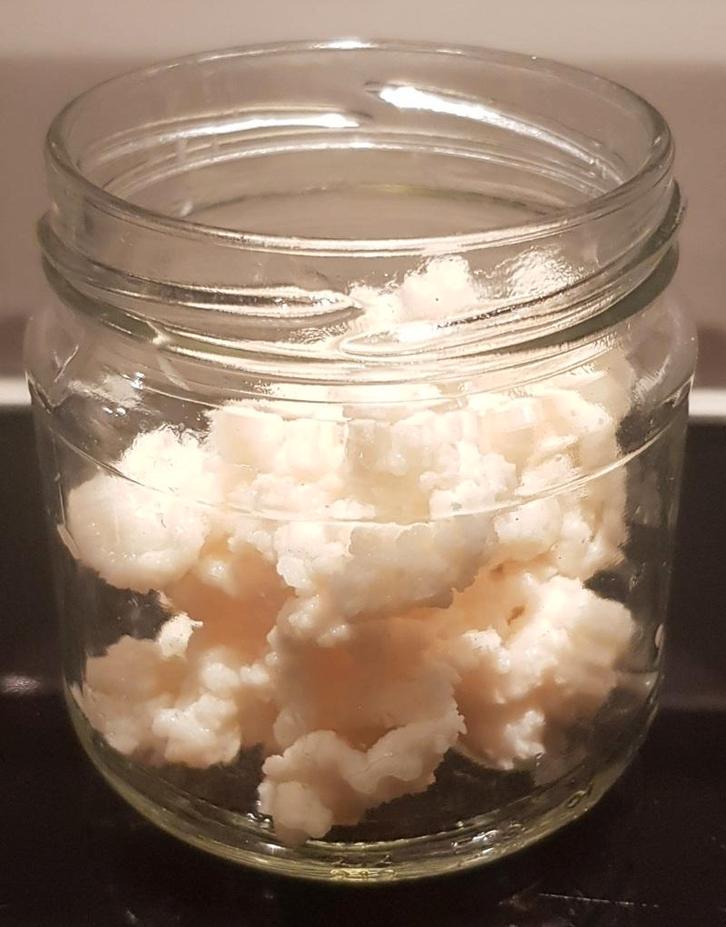 Gratis melk kefir bloemetjes, Diversen, Levensmiddelen, Ophalen