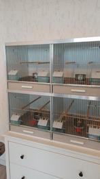 Kweekkooi, Dieren en Toebehoren, Ophalen, Gebruikt, Kunststof, Broedkooi of Kweekkooi