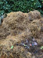 GRATIS Schapenmest gemengd met kippenmest, Ophalen, Mest