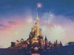 Dagticket voor Disneyland Parijs, Tickets & Billets