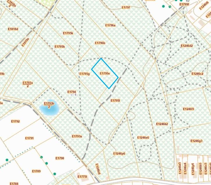 Bosgrond te BALEN / Hulsen, Immo, Gronden en Bouwgronden, 1500 m² of meer
