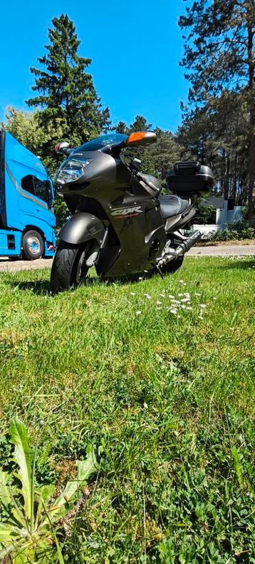 honda blackbird, Motoren, Motoren | Honda, Particulier, Chopper