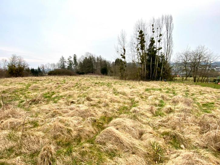 Terrain 7,84 Ares à Messancy, Immo, Terrains & Terrains à bâtir, 500 à 1000 m², Ventes sans courtier