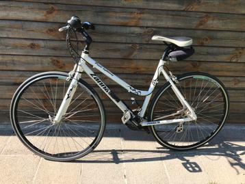 Dames / meisjes fiets Zannata beschikbaar voor biedingen