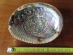 schelpen verzameling, Verzamelen, Mineralen en Fossielen, Ophalen, Schelp(en)