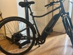 Riverside 500e elektrische fiets, Fietsen en Brommers, Ophalen, Zo goed als nieuw
