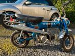 Honda Dax 50, Motoren, Motoren | Honda, Particulier