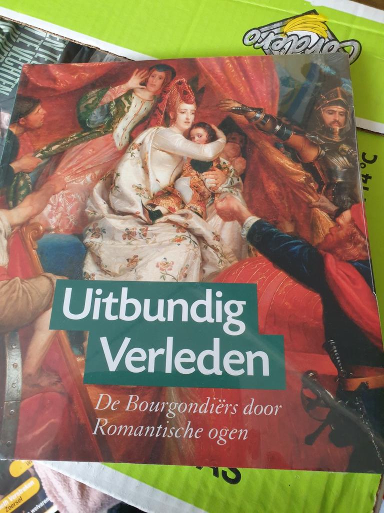Voorbeeldig verleden Bourgondiërs door Romantische ogen, Boeken, Overige Boeken, Ophalen of Verzenden