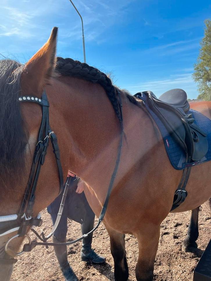 Ruiz Diaz dressuur zadel 18” mw blauwe boom, Dieren en Toebehoren, Paarden en Pony's | Zadels, Gebruikt, Dressuur, Ophalen of Verzenden