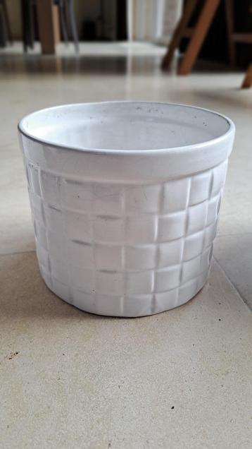 Bloempot  beschikbaar voor biedingen