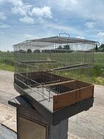 Cage élevage oiseaux, Dieren en Toebehoren, Vogels | Hokken en Kooien, Ophalen, Gebruikt, Metaal, Broedkooi of Kweekkooi