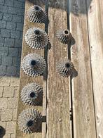 11 speed en 10 speed cassettes, Ophalen of Verzenden, Zo goed als nieuw