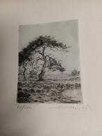 gesigneerde ets  heidelandschap. gesigneerd Jos Stokbroeckx, Antiek en Kunst, Kunst | Etsen en Gravures, Ophalen of Verzenden