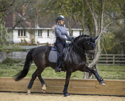 LeMieux Self-Cool dressuur dekje Grijs GRATIS VERZENDING, Dieren en Toebehoren, Paarden en Pony's | Dekens en Dekjes, Nieuw, Dekje