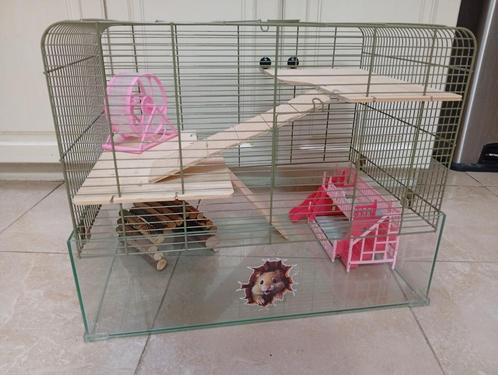 hamster kooi perfecte conditie, Dieren en Toebehoren, Knaagdieren en Konijnen | Hokken en Kooien, Zo goed als nieuw, Kooi, Minder dan 60 cm