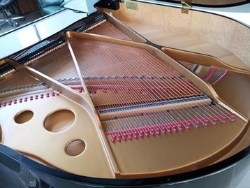 vleugelpiano Steingraeber & Söhne model 168 beschikbaar voor biedingen