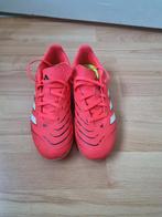 Chaussure de foot predator adidas, Kinderen en Baby's, Kinderkleding | Schoenen en Sokken, Ophalen