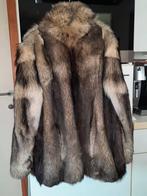 Coyote bontjas Maat M L, Enlèvement ou Envoi, Porté, Taille 38/40 (M)