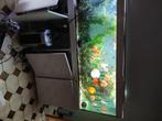 Super aquarium Aqualantis de 2m 900l, Enlèvement, Comme neuf, Aquarium d'eau douce rempli