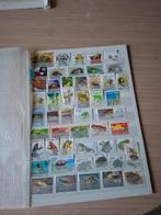 Postzegels kikkers, Ophalen