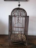 Magnifique très ancienne cage à oiseau en fer, Enlèvement ou Envoi