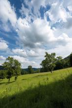 Landbouwgrond / Weide te koop gezocht Correcte prijs, Ventes sans courtier, 1500 m² ou plus