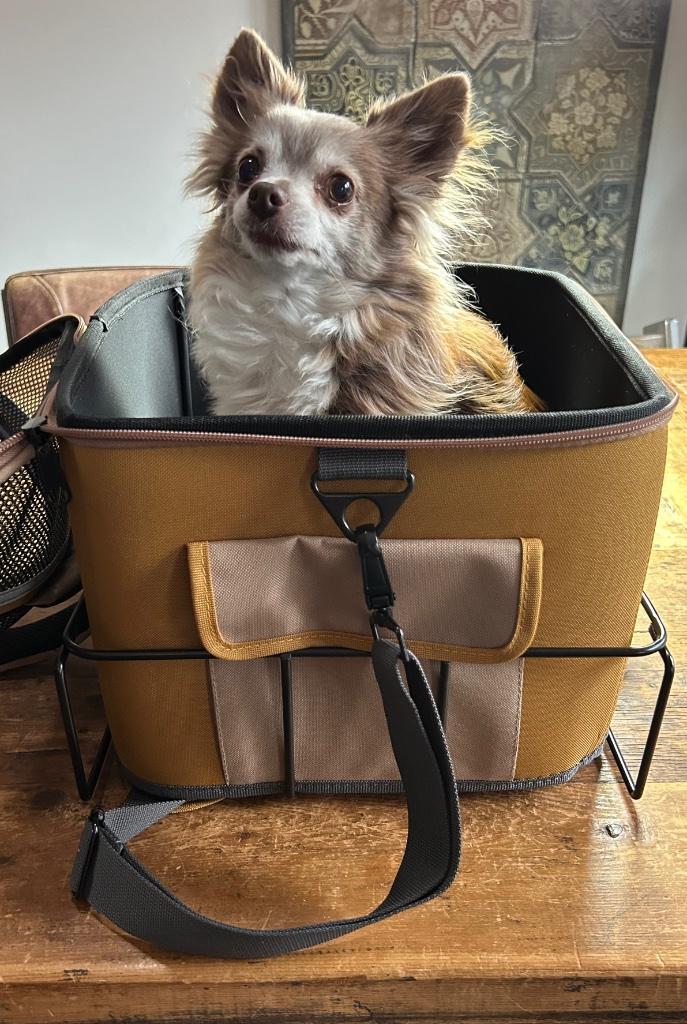 Nieuwe honden katten fietsmand, Dieren en Toebehoren, Hondenmanden, Nieuw, Overige, Ophalen of Verzenden