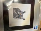 Kruissteek uil vervaco 17x17, Ophalen of Verzenden, Nieuw, Handborduren, Borduurpakket