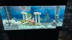 Très beau aquarium, plus décoration,…, Dieren en Toebehoren, Vissen | Aquaria en Toebehoren, Ophalen, Zo goed als nieuw