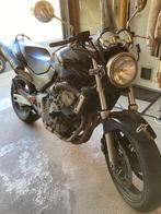Honda CB 600F Hornet, Motos, Naked bike, 600 cm³, 4 cylindres, Particulier