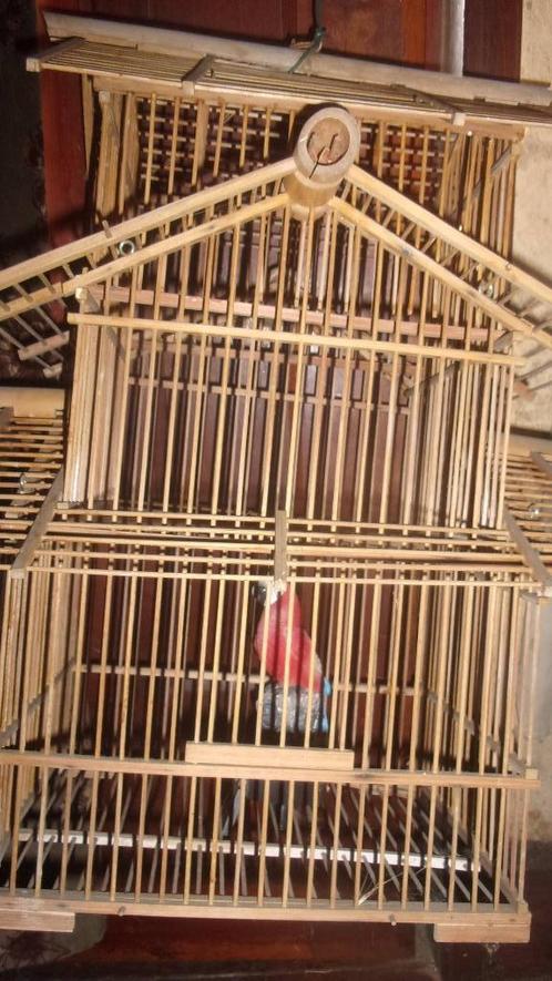 Cage perroquet avec perroquet décoration, Antiquités & Art, Curiosités & Brocante, Enlèvement ou Envoi