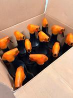 12 x Kenotek showroom shine - 08/2027, Ophalen of Verzenden