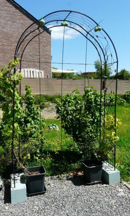 Arcade en métal pour jardin, Tuin en Terras, Terrasdelen en Vlonders, Gebruikt, Overige materialen, Ophalen